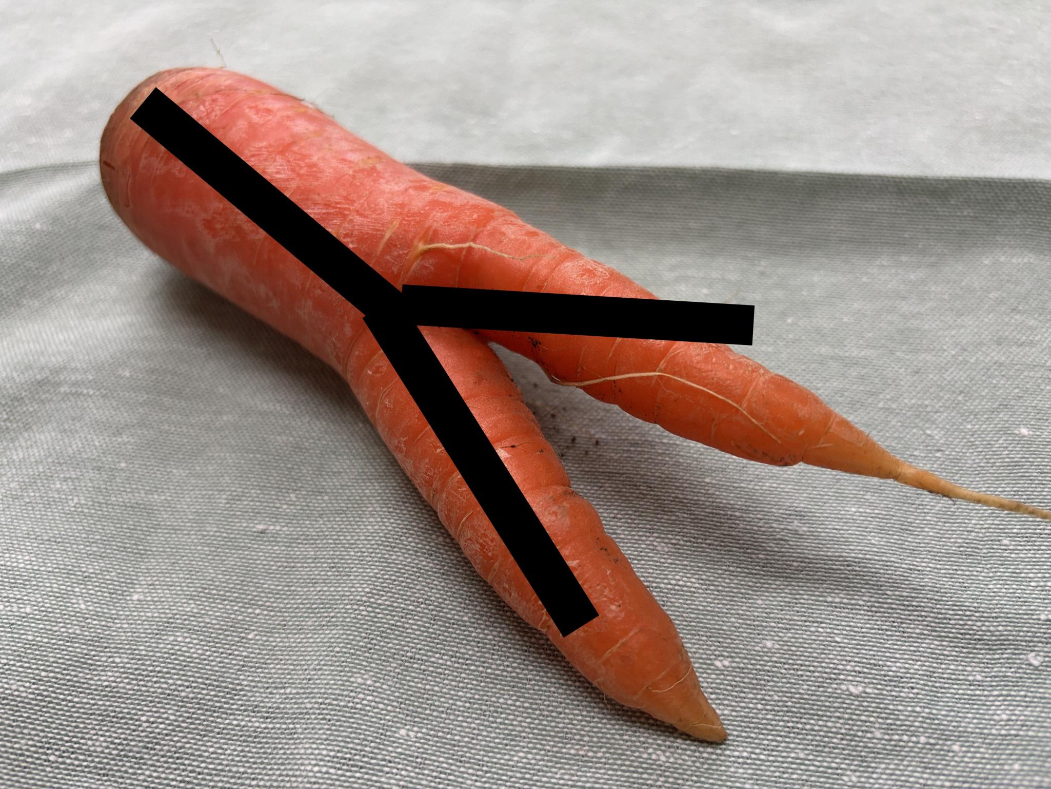 IMG_1155(2) IMG_1155(2)