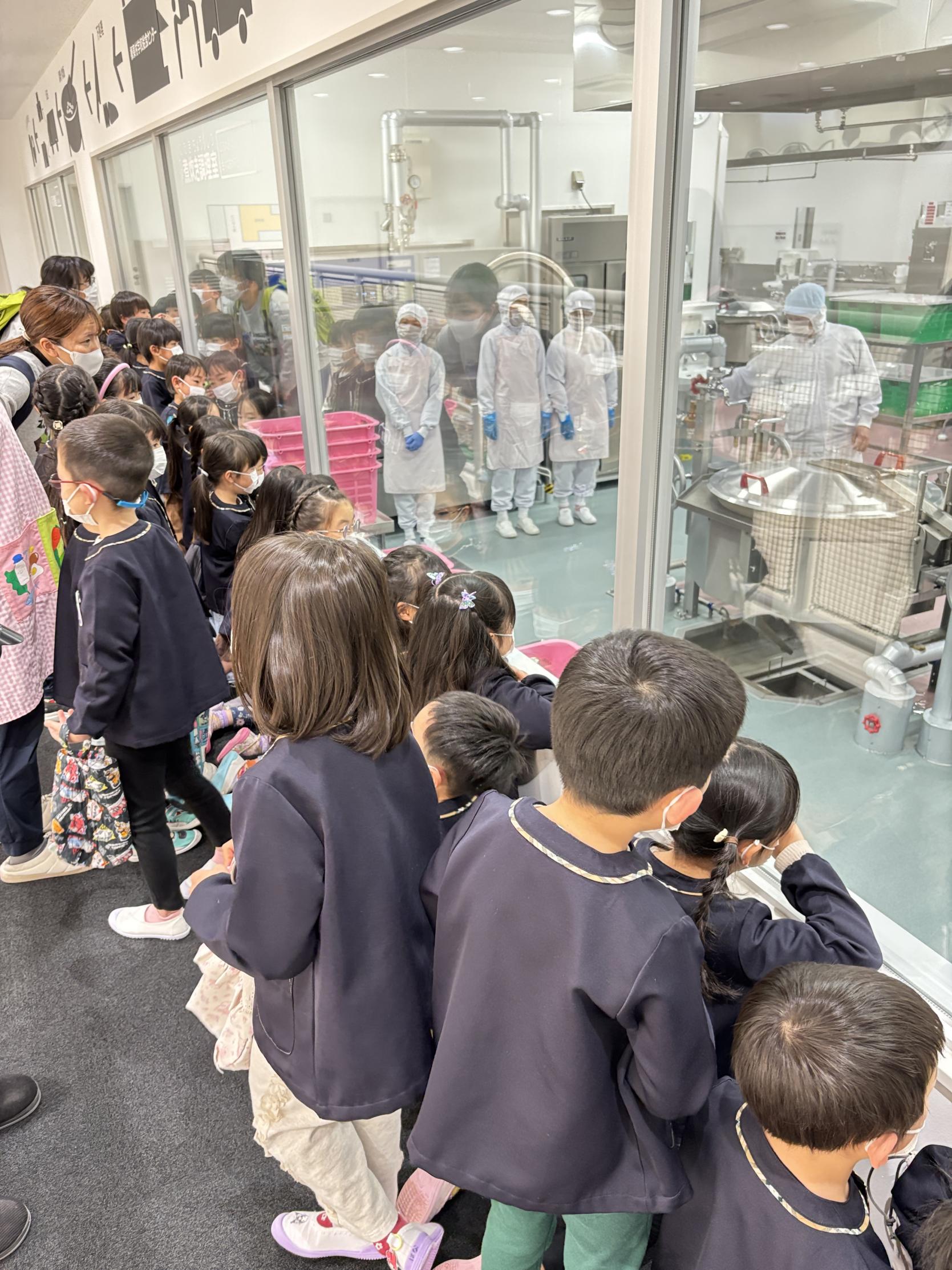 20260216 南部 (3) 20260216 南部 (3)