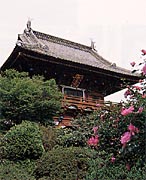柳沢寺の写真