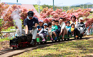 しんとうふるさと公園のミニ鉄道