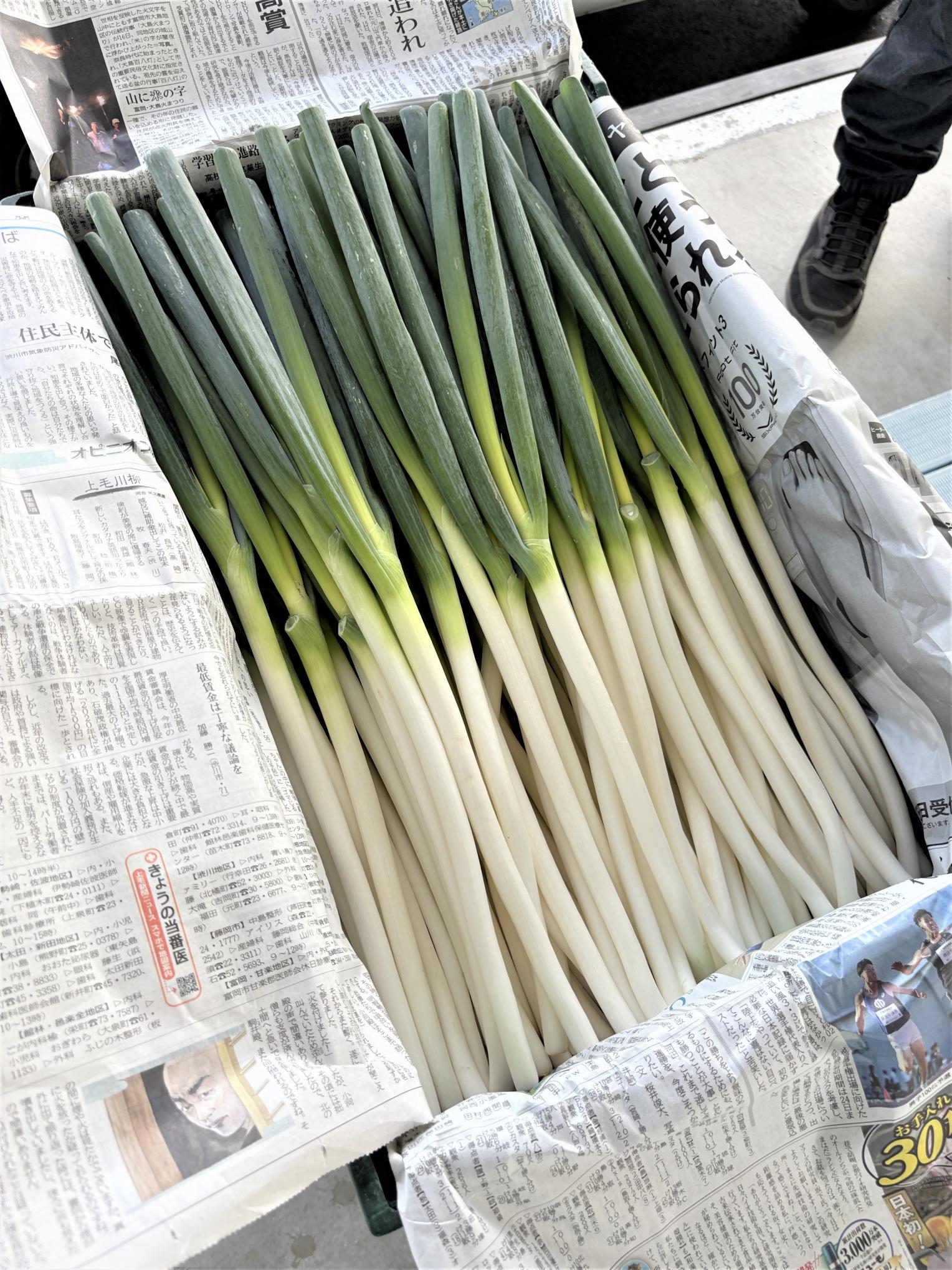 627_2_IMG_1906 627_2_IMG_1906