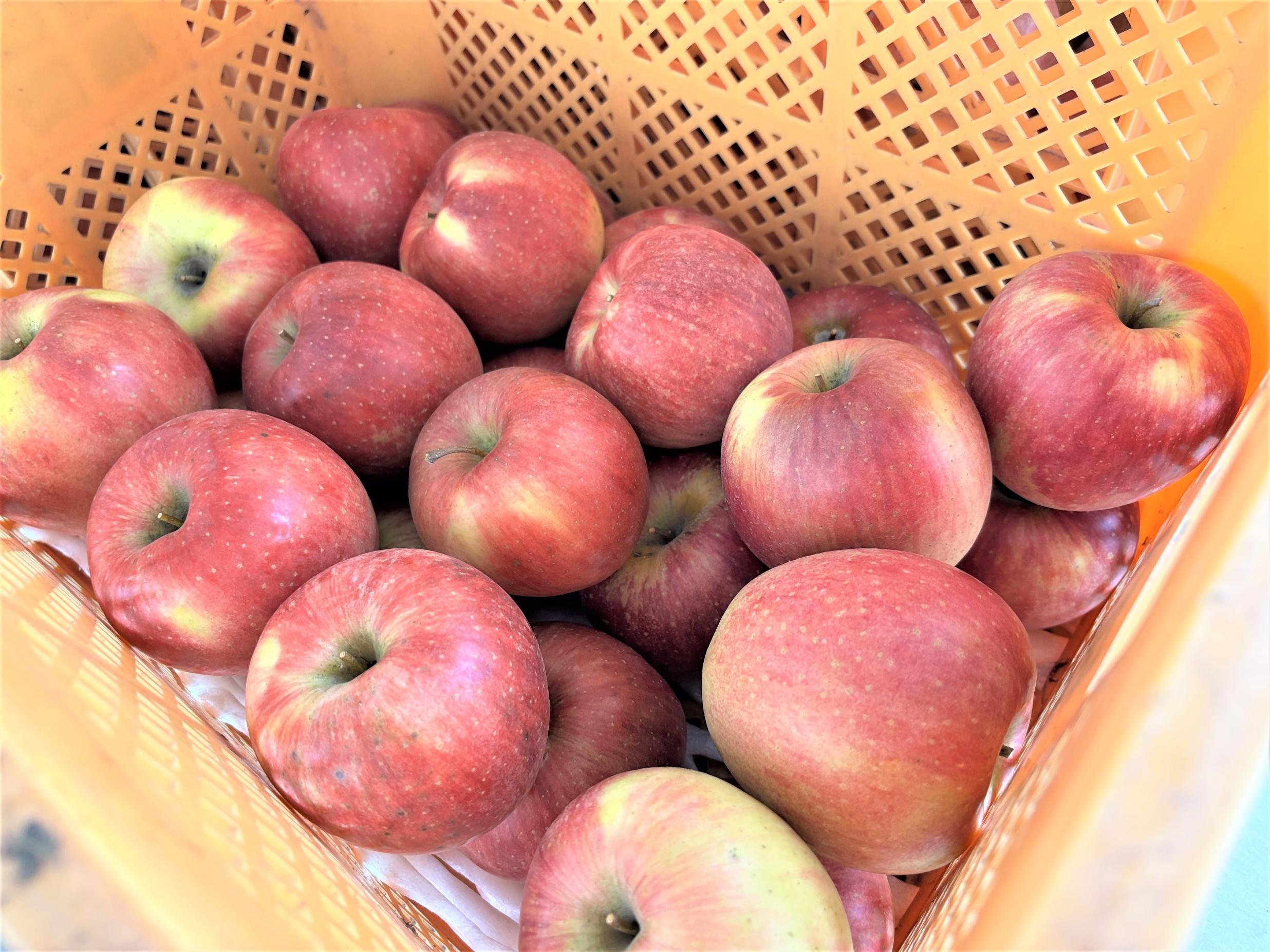 634_14_IMG_1919 634_14_IMG_1919