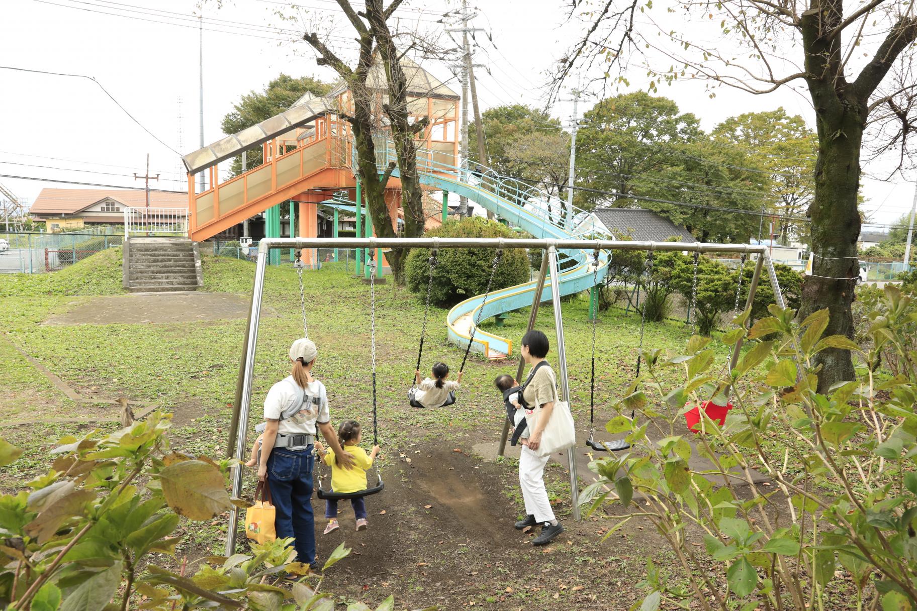 ブランコで遊ぶ親子 ブランコで遊ぶ親子