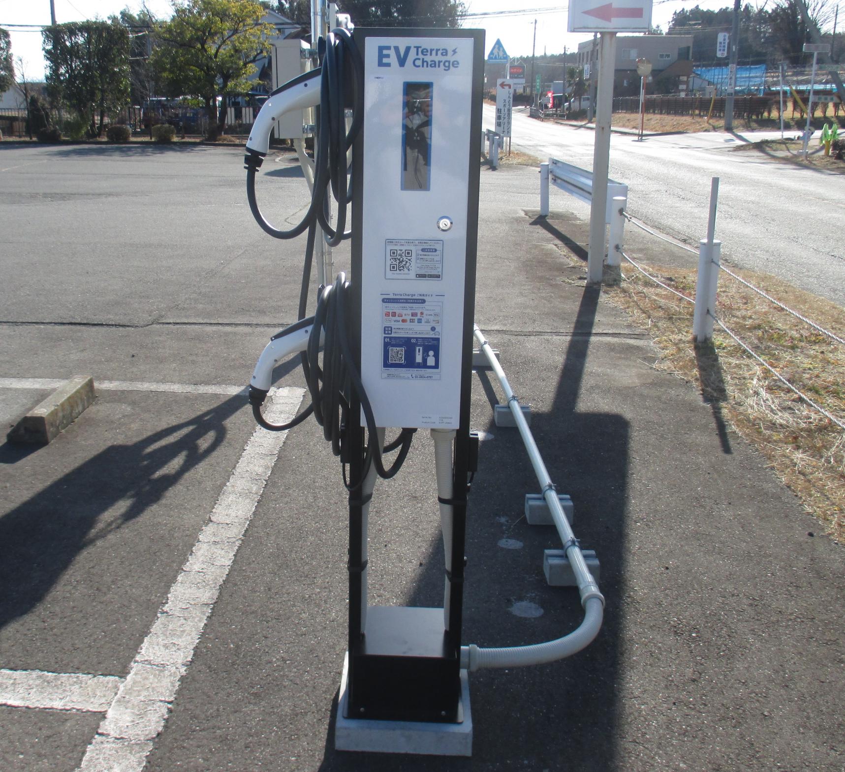 IMG_1567-1 IMG_1567-1