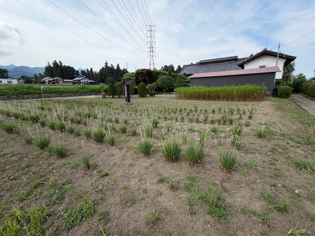 image2 image2