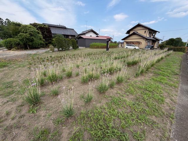 image3 image3