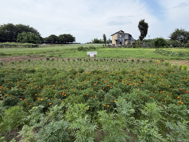 image2(1) image2(1)