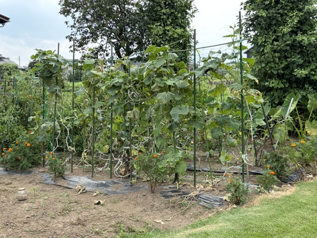 image10 image10
