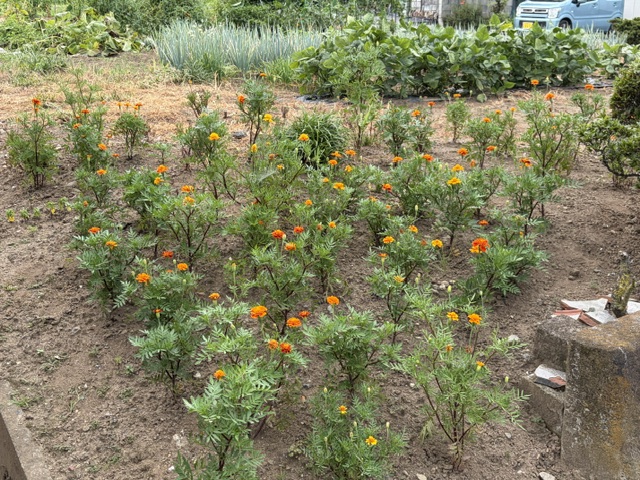 image14 image14