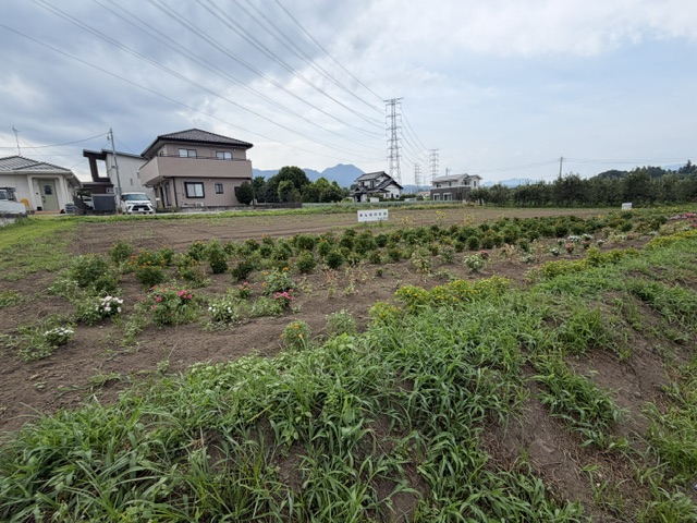 image20 image20
