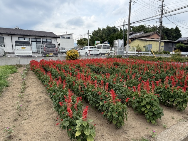 image00 image00