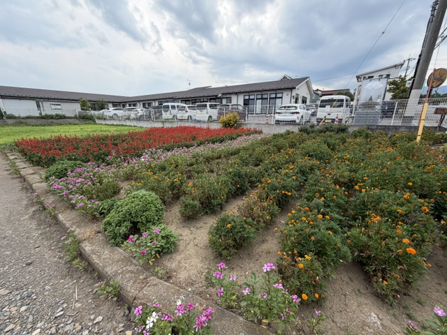 image50 image50
