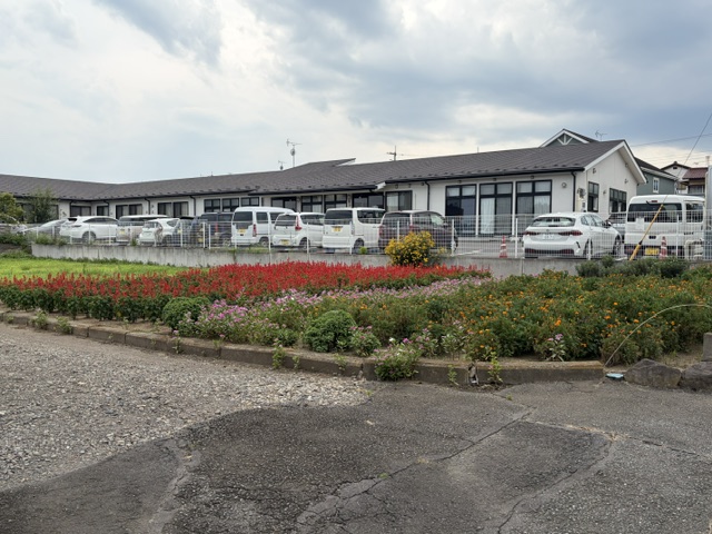 image3(1) image3(1)