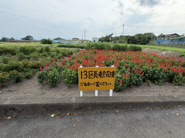 image0 image0