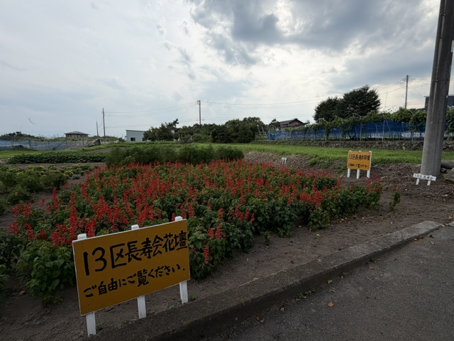 image2(2) image2(2)