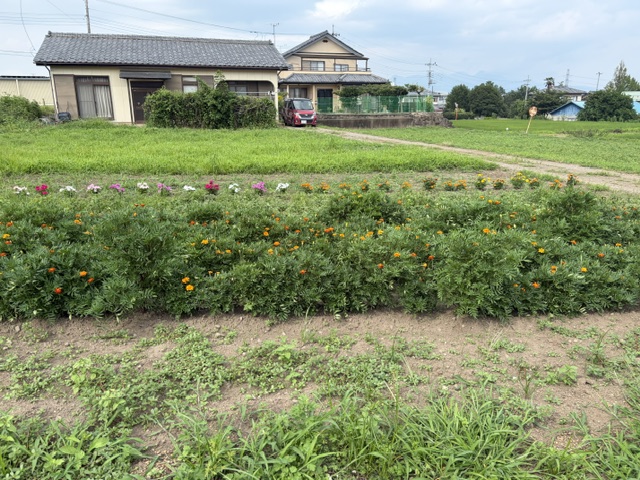 image2 image2