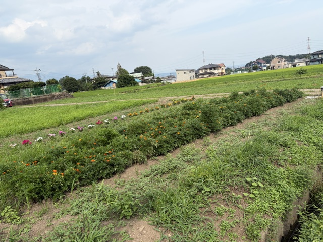 image8 image8