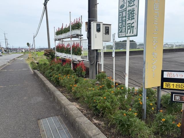 image1 image1