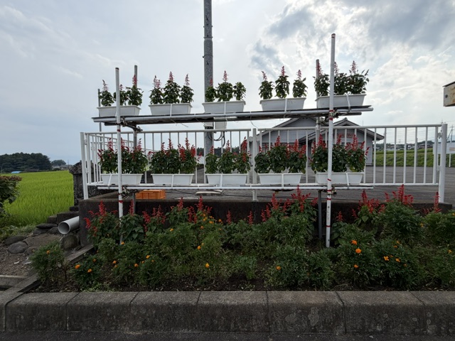 image3 image3