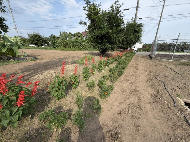 image60 image60