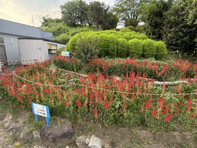 image6 image6