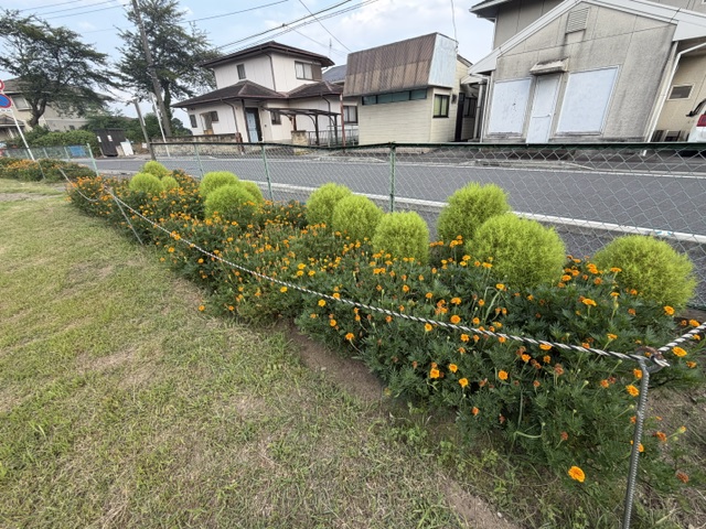 image8(2) image8(2)