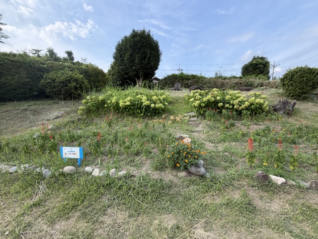 image90 image90