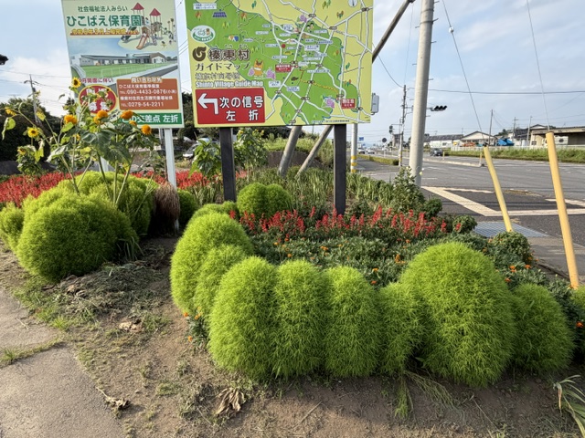 image0 image0