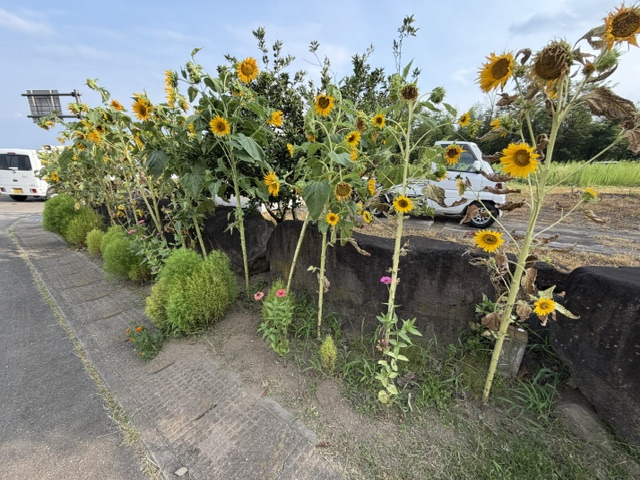image10 image10